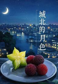 城北的月色