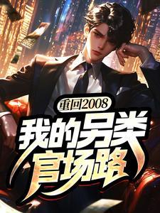 重回2008，我的另类官场路