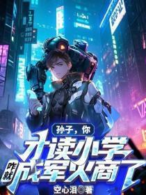 孙子,你才读小学,咋就成军火商了
