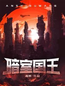 暗室国王