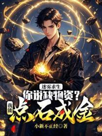 迷雾求生:你说缺物资?我能点石成金!