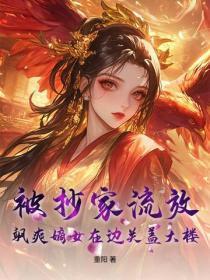 被抄家流放,飒爽嫡女在边关盖大楼!