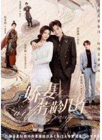 娇妻芳龄几许(郭迦南 、宋芳园主演影视剧原着)