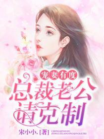 宠妻有度:总裁老公请克制
