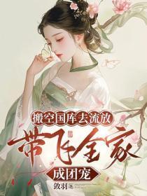 搬空国库去流放,带飞全家成团宠