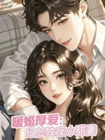 暖婚厚爱:纪总独宠小甜妻