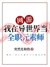 网游:我在异世界当全职元素师