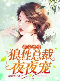 私宠蜜爱:狼性总裁,夜夜宠