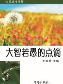 大智若愚的点滴