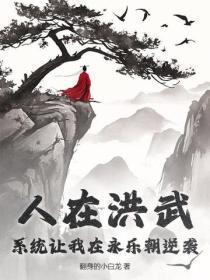 人在洪武,系统让我在永乐朝逆袭?