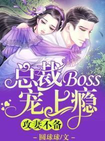 攻妻不备:总裁BOSS宠上瘾
