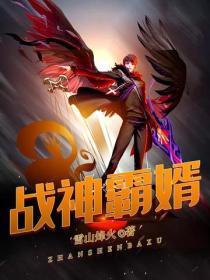 战神霸婿