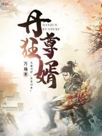 丹尊狂婿