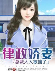 律政娇妻:总裁大人被捕了