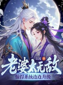 老婆太无敌,惊得系统连连升级