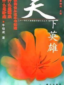 天下英雄