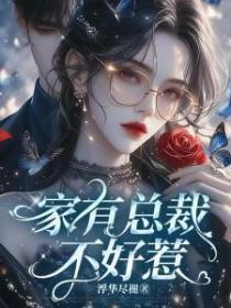 家有总裁,不好惹!