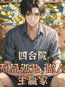 四合院:开局孤儿,做人生赢家