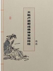 大毗卢遮那成佛神变加持经
