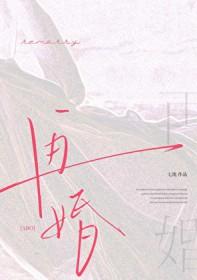 再婚abo