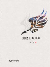 翅膀上的风景