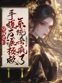 穿成老妇,手握反派拯救系统杀疯了