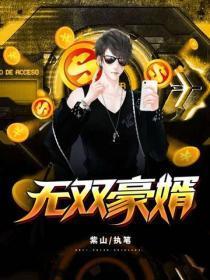 无双豪婿