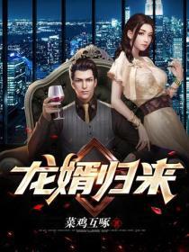 龙婿归来