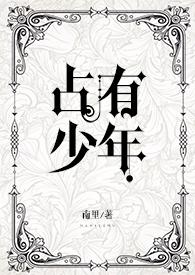 占有少年