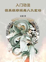 入门功法,但系统非说是八九玄功