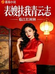 表嫂扶我青云志