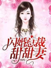 闪婚总裁甜甜妻