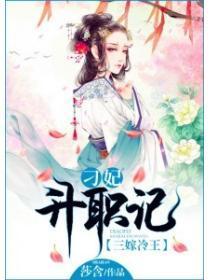 三嫁冷王:刁妃升职记