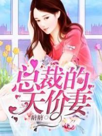 总裁的天价妻！