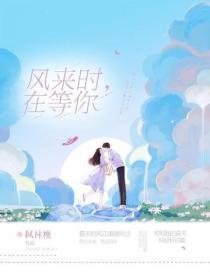 风来时,在等你