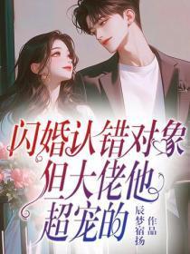 闪婚认错对象,但大佬他超宠的
