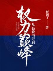 巅峰政途