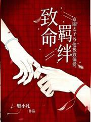 致命羈绊,京圈太子爷他极致偏爱