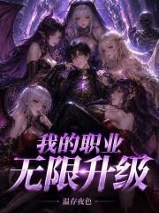 我的职业无限升级