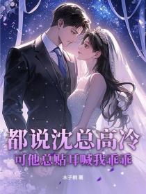 都说沈总高冷,可他总贴耳喊我乖乖