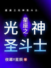 星座之光神圣斗士