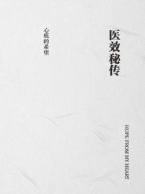 医效秘传