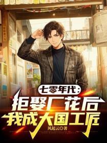 七零年代:拒娶厂花后我成大国工匠