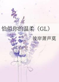 恰似你的温柔